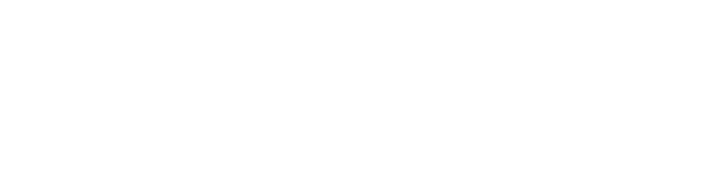 Software Developer – Furious Koalas Interactive logo